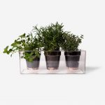 Nemo enim nec elementum dolor