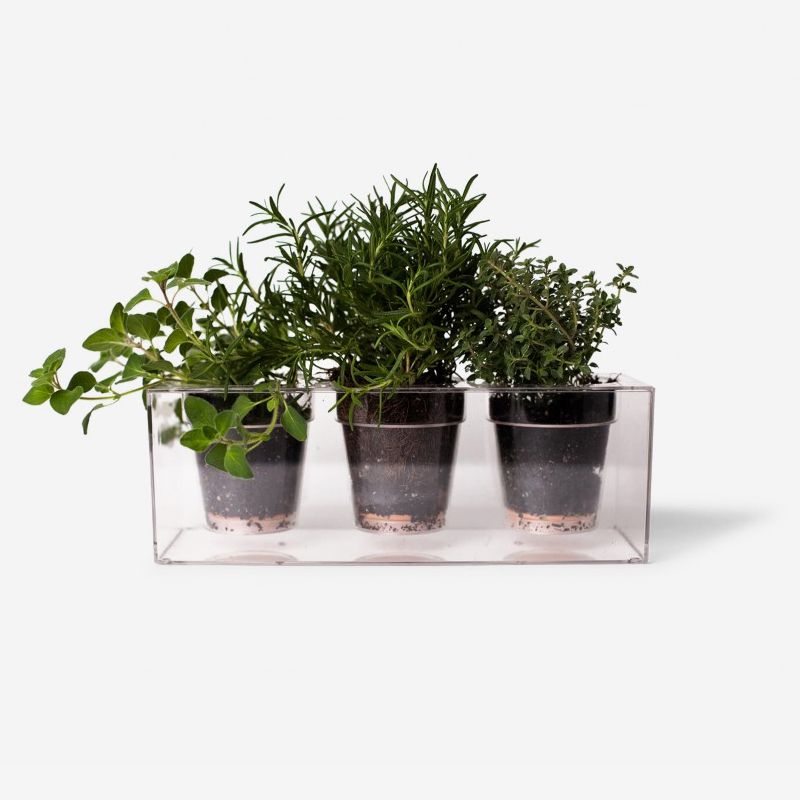 Nemo enim nec elementum dolor