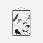 risus dignissim massa quis