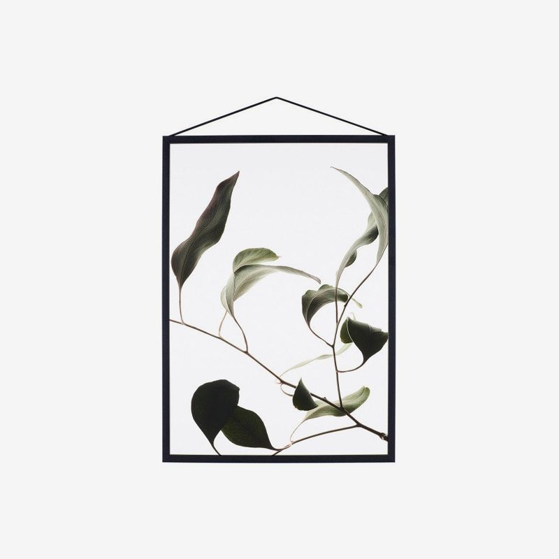 risus dignissim massa quis